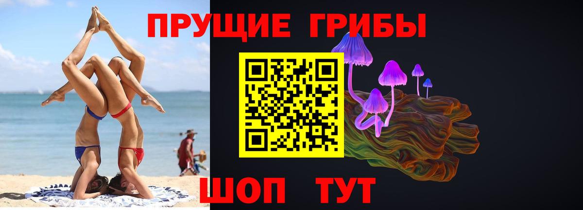 Псилоцибиновые грибы Psilocybine cubensis Усинск